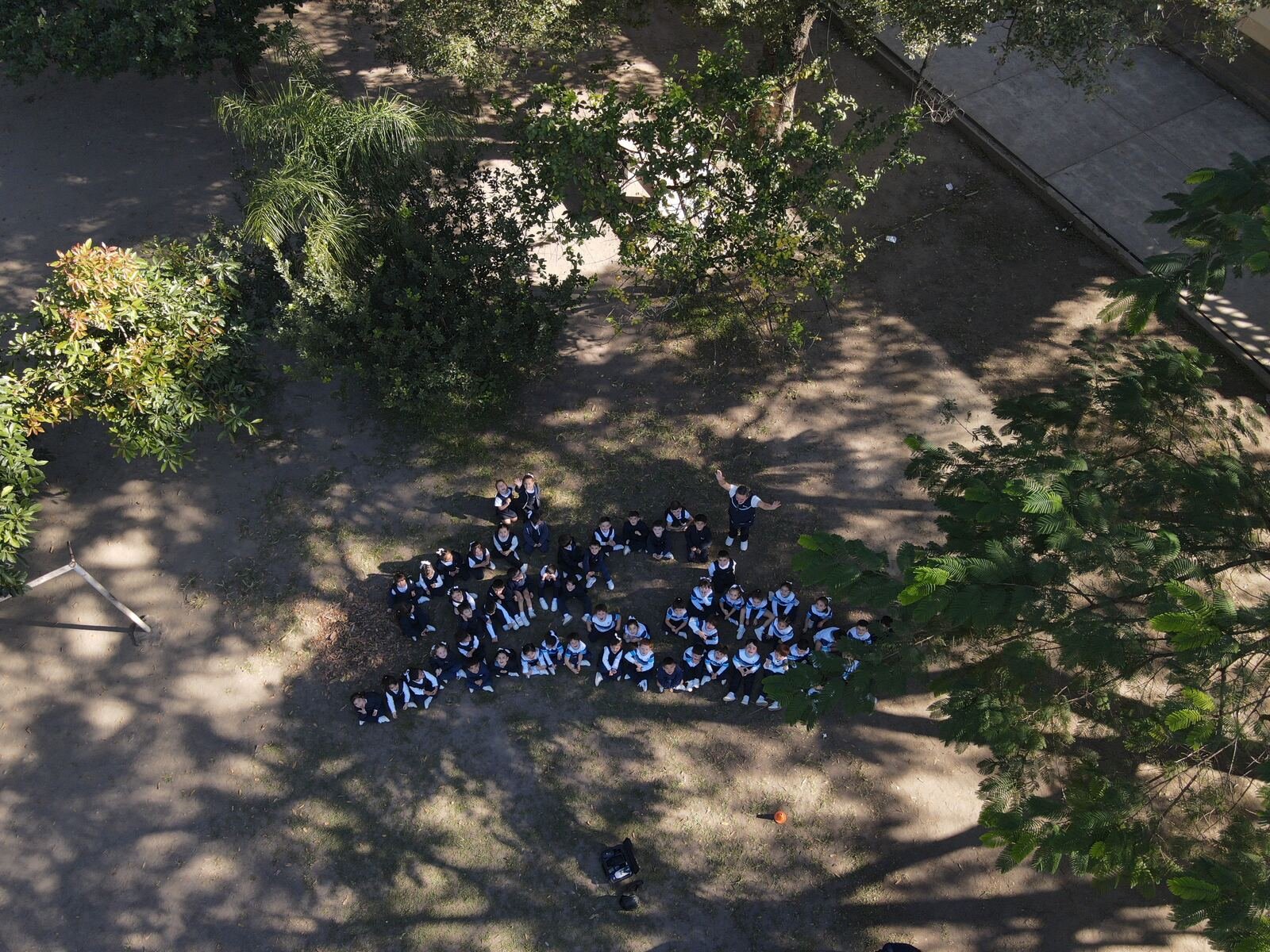 Chicos formando una figura entre los árboles, vista aérea